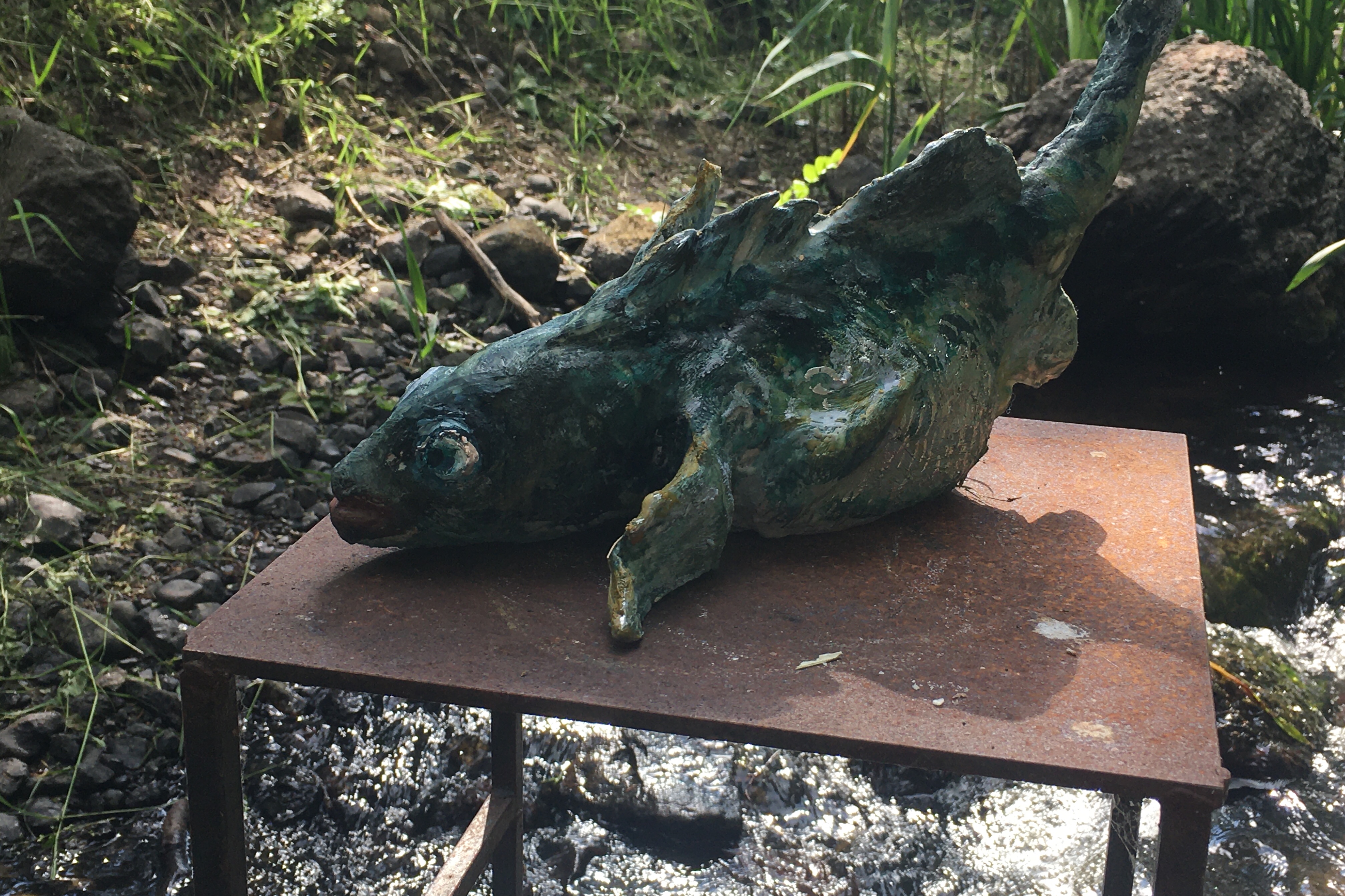 Stichlingsmännchen beim Nestbau